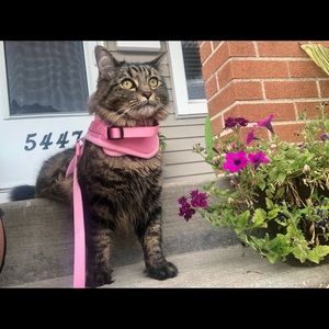 Meet your Posher, Katie